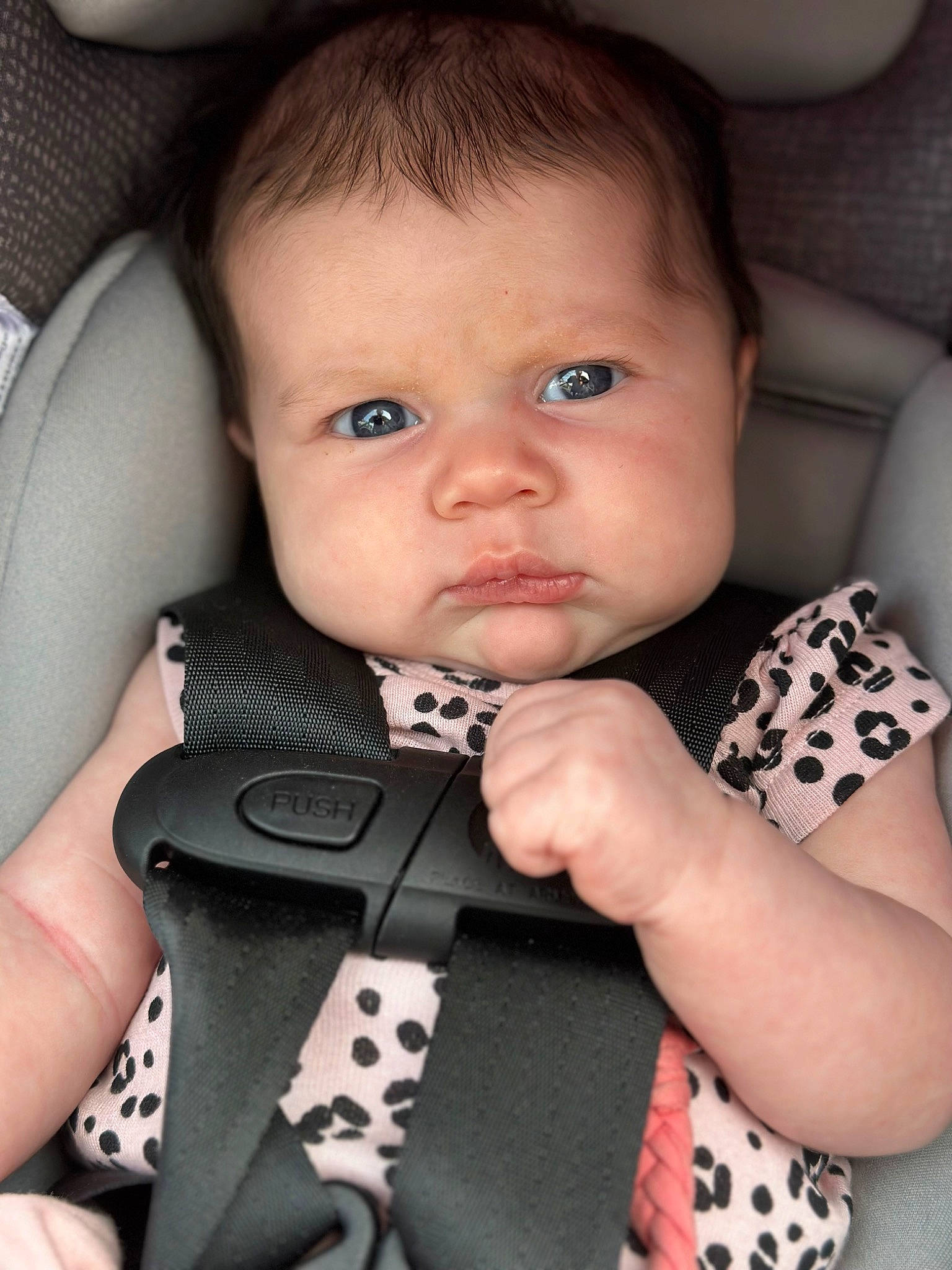 Adaline joined the competition — help win amazing prizes! baby, baby_products, baby_toddler_clothing, cheek, child, comfort, eyelash, fashion_accessory, finger, hand, lip, nail, nose, pattern, person, seat_belt, skin, sleeve, thumb, toddler