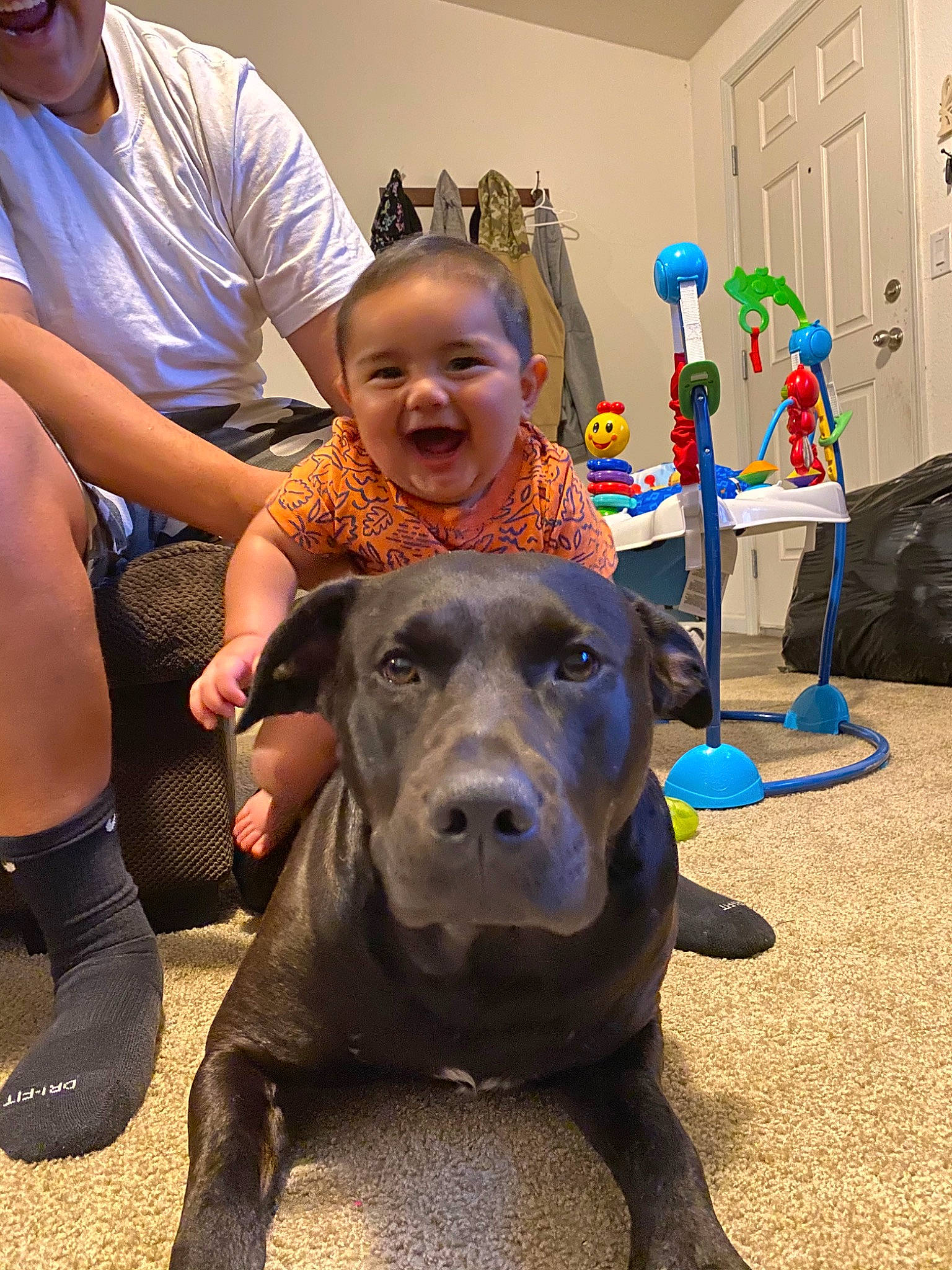 Maiya joined the competition — help win amazing prizes! bandog, cane_corso, canidae, carnivore, child, companion_dog, conformation_show, dog, dog_breed, ear, fawn, fun, giant_dog_breed, great_dane, guard_dog, non_sporting_group, person, snout, sporting_group, toddler