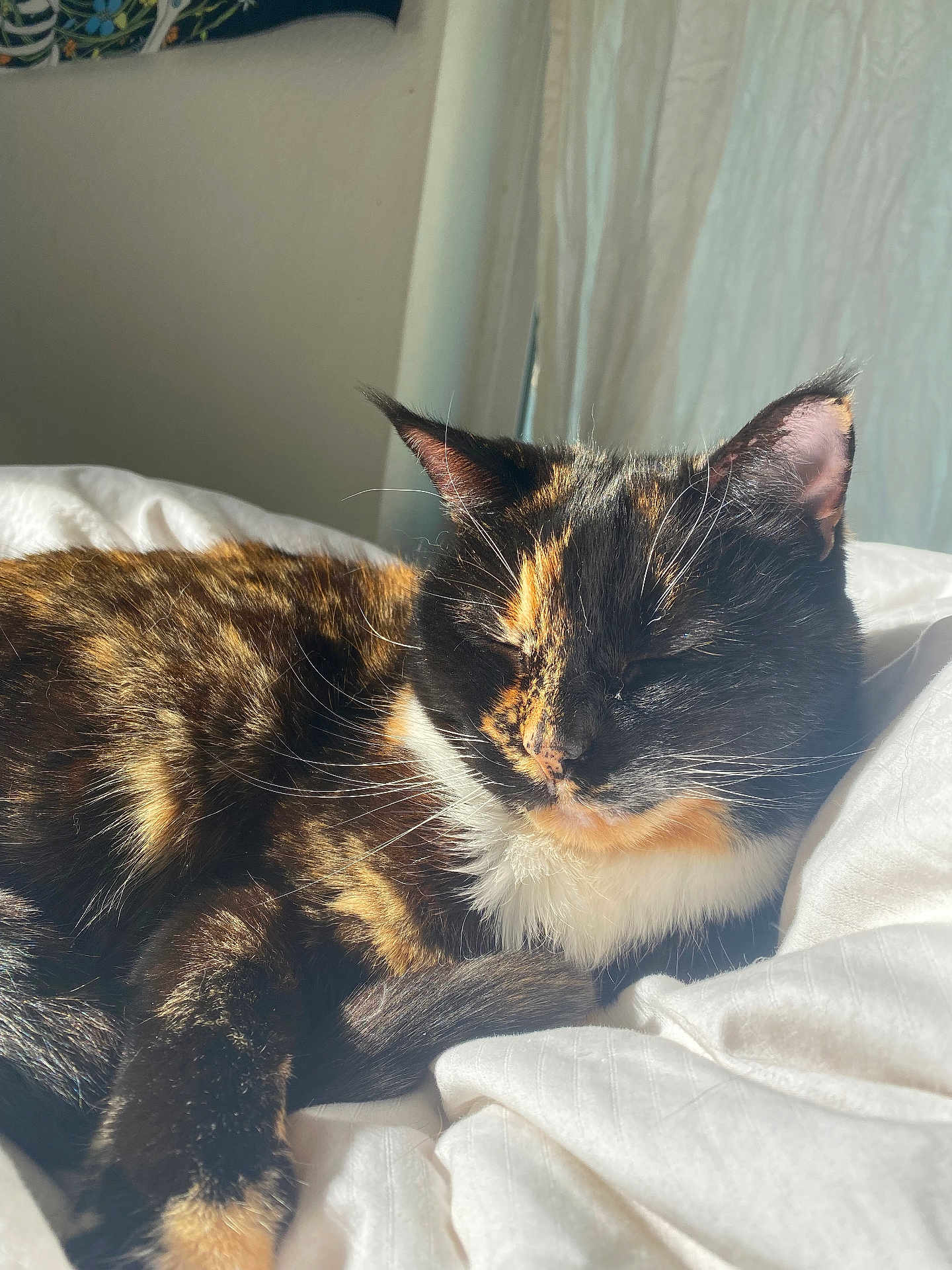 Jasmine