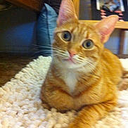 Murphy is registered to the contest to win money with this photo: