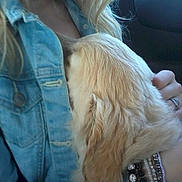 Iko participe au concours pour gagner de l'argent avec cette photo :