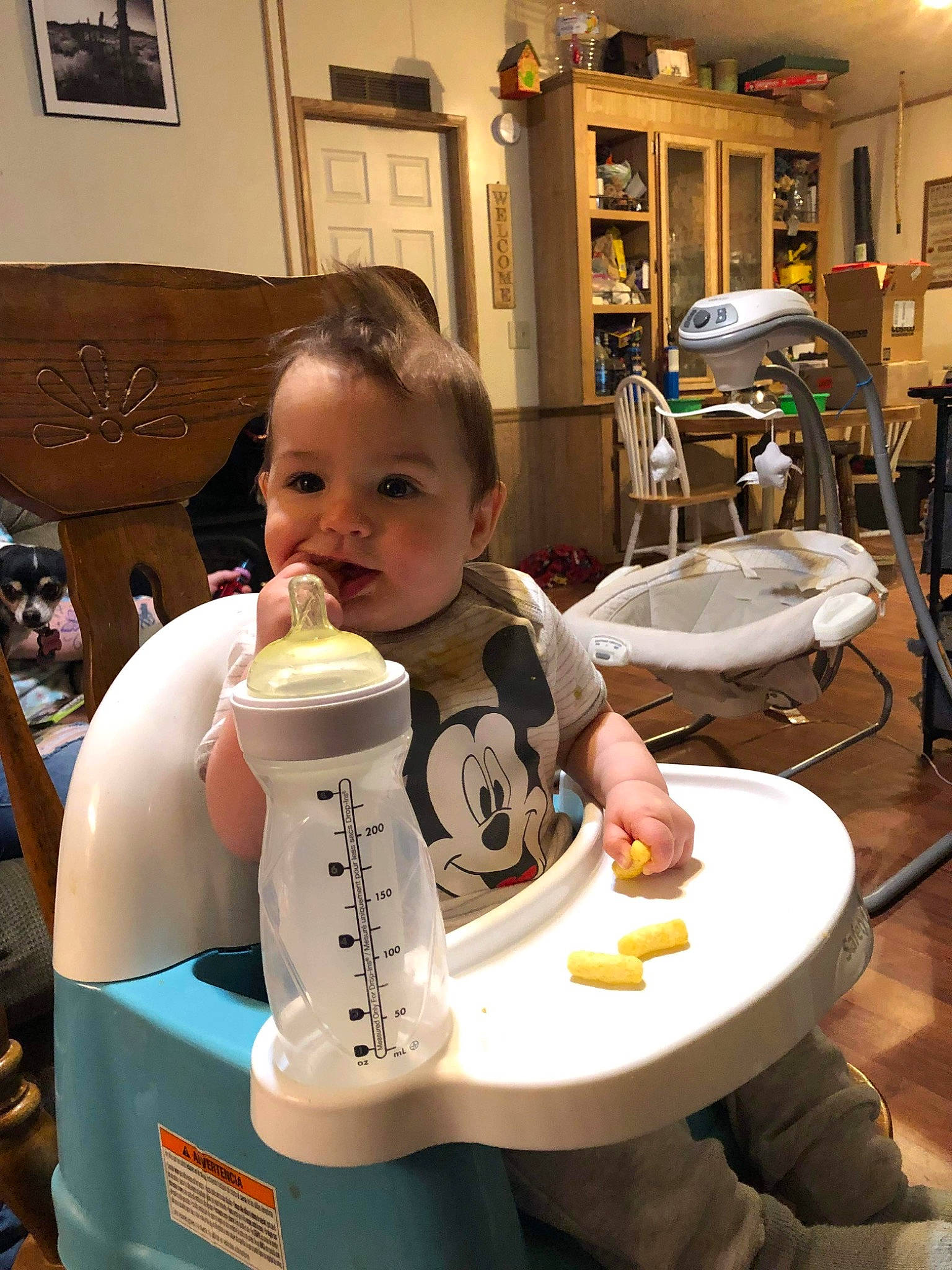 Jimmy Joe is registered to the contest to win money with this photo: baby, bib, chair, child, flooring, fun, meal, person, picture_frame, plastic, plate, room, sitting, t_shirt, table, toddler