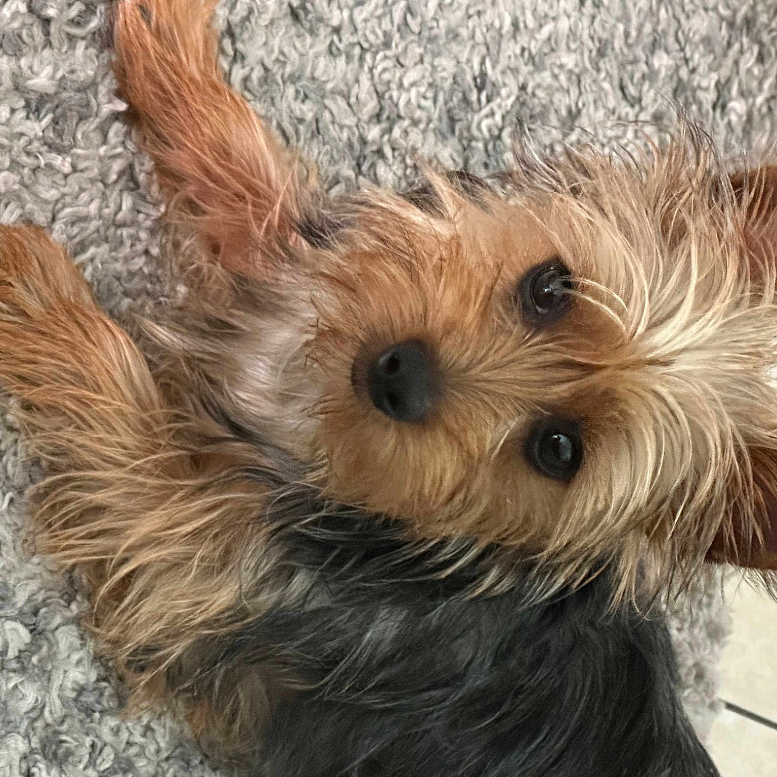 Daisy Mae