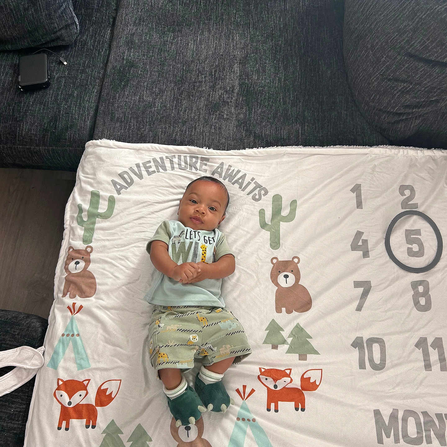 Ahmyus joined the competition — help win amazing prizes! baby, baby_bib, bear, blanket, cactus, circled_number, clothing, couch, floor, fox, green_outfit, indoor, infant, milestone_blanket, numbers, person, smiling, socks, trees, wood_floor