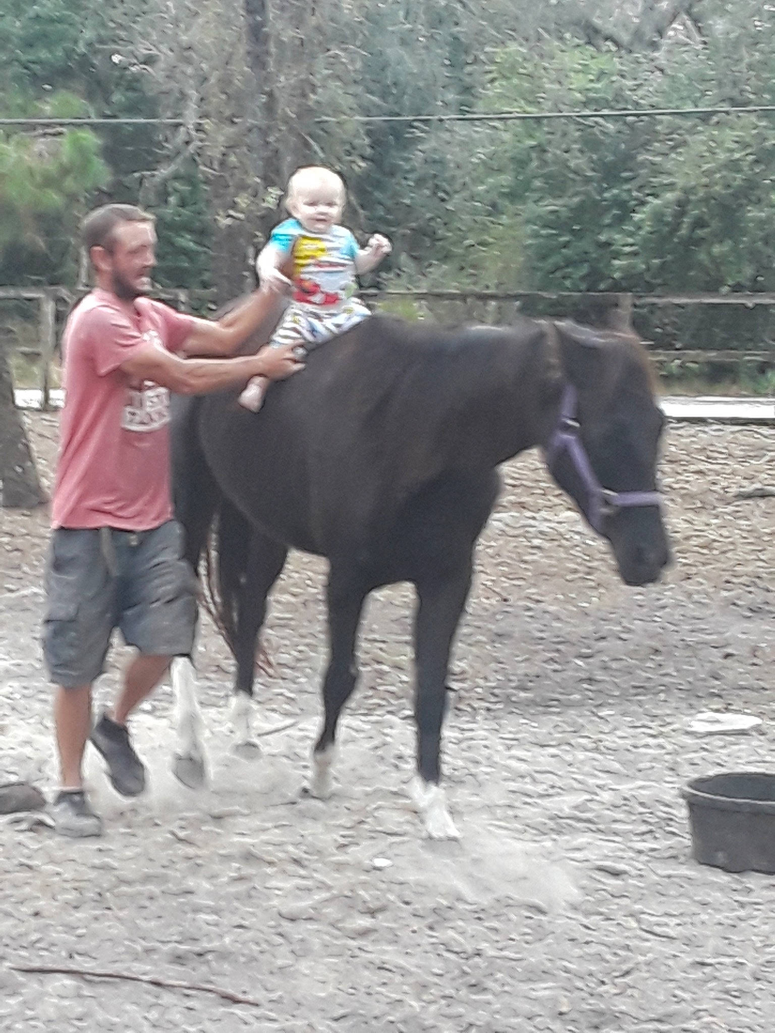 Dustin joined the competition — help win amazing prizes! animal_sports, blurred, bridle, equestrianism, halter, horse, horse_supplies, horse_tack, horse_trainer, mammal, mane, mare, organism, pack_animal, person, recreation, rein, riding_instructor, stallion, trail_riding