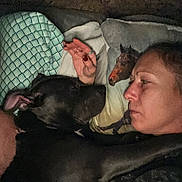 Dakota is registered to the contest to win money with this photo: person, dog, black_dog, couch, pillow, hand, face, indoor, resting, closeup, human, animal, pet, intimate, comfort, bond, relaxation, casual, sleeping, cozy