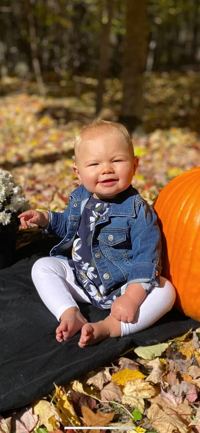 Azalea joined the competition — help win amazing prizes! baby, baby_toddler_clothing, calabaza, child, dress, eye, facial_expression, flash_photography, gourd, grass, happy, natural_foods, orange, people_in_nature, person, plant, pumpkin, smile, toddler, tree