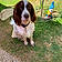 Milou