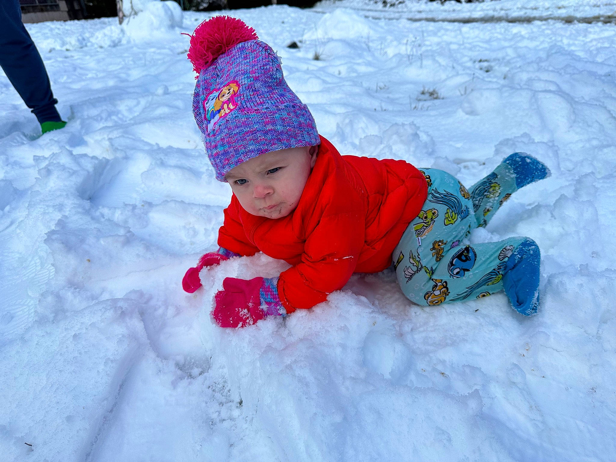 Aleyah is registered to the contest to win money with this photo: baby, baby_toddler_clothing, beanie, cap, child, electric_blue, freezing, fun, grass, headwear, knit_cap, leisure, people_in_nature, person, play, playing_in_the_snow, recreation, sitting, snow, toddler