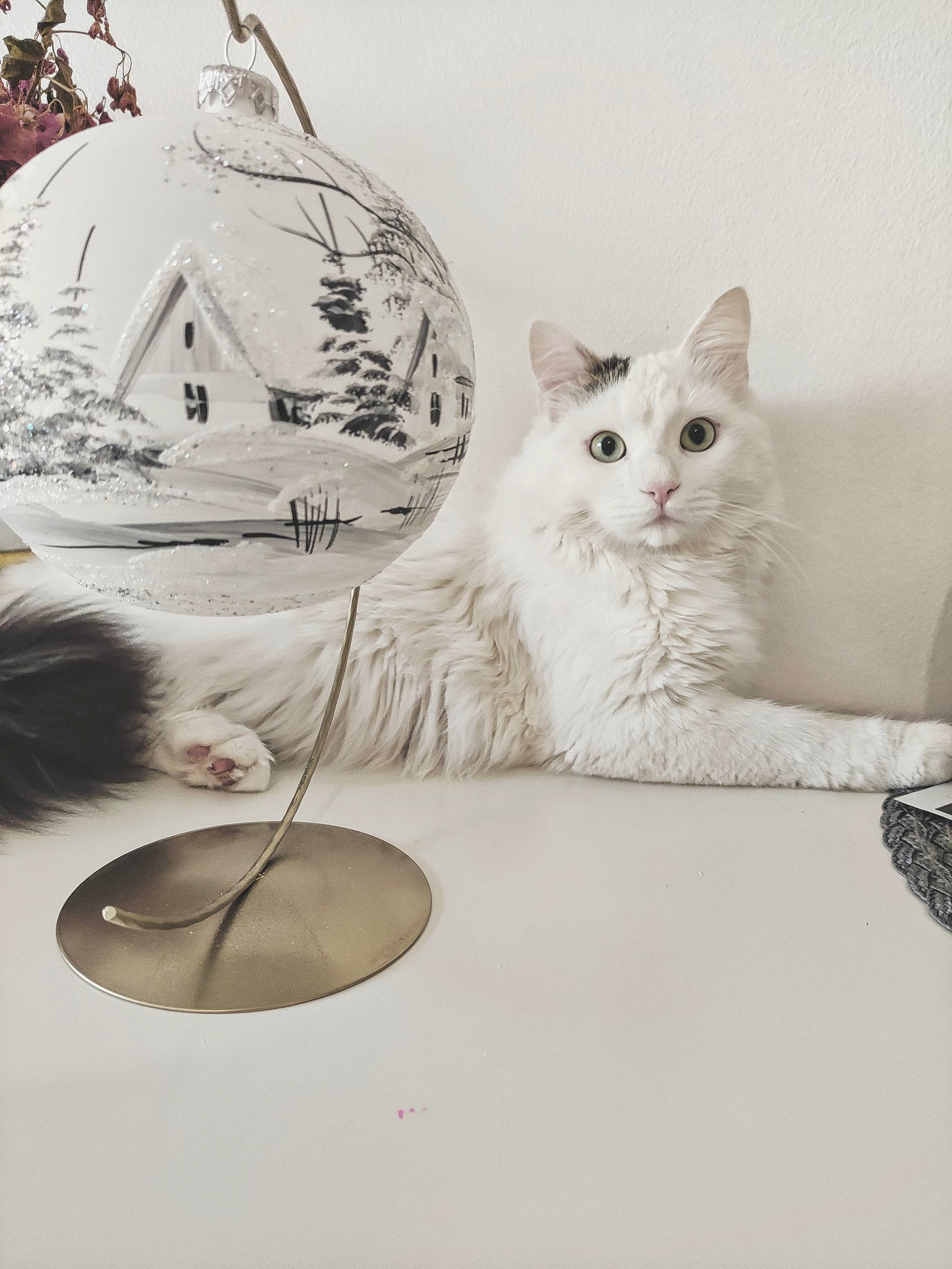 Noé participe au concours pour gagner de l'argent avec cette photo : art, carnivore, cat, cat_bed, circle, comfort, domestic_short_haired_cat, felidae, fur, painting, paw, serveware, sitting, small_to_medium_sized_cats, tail, vertebrate, whiskers, window