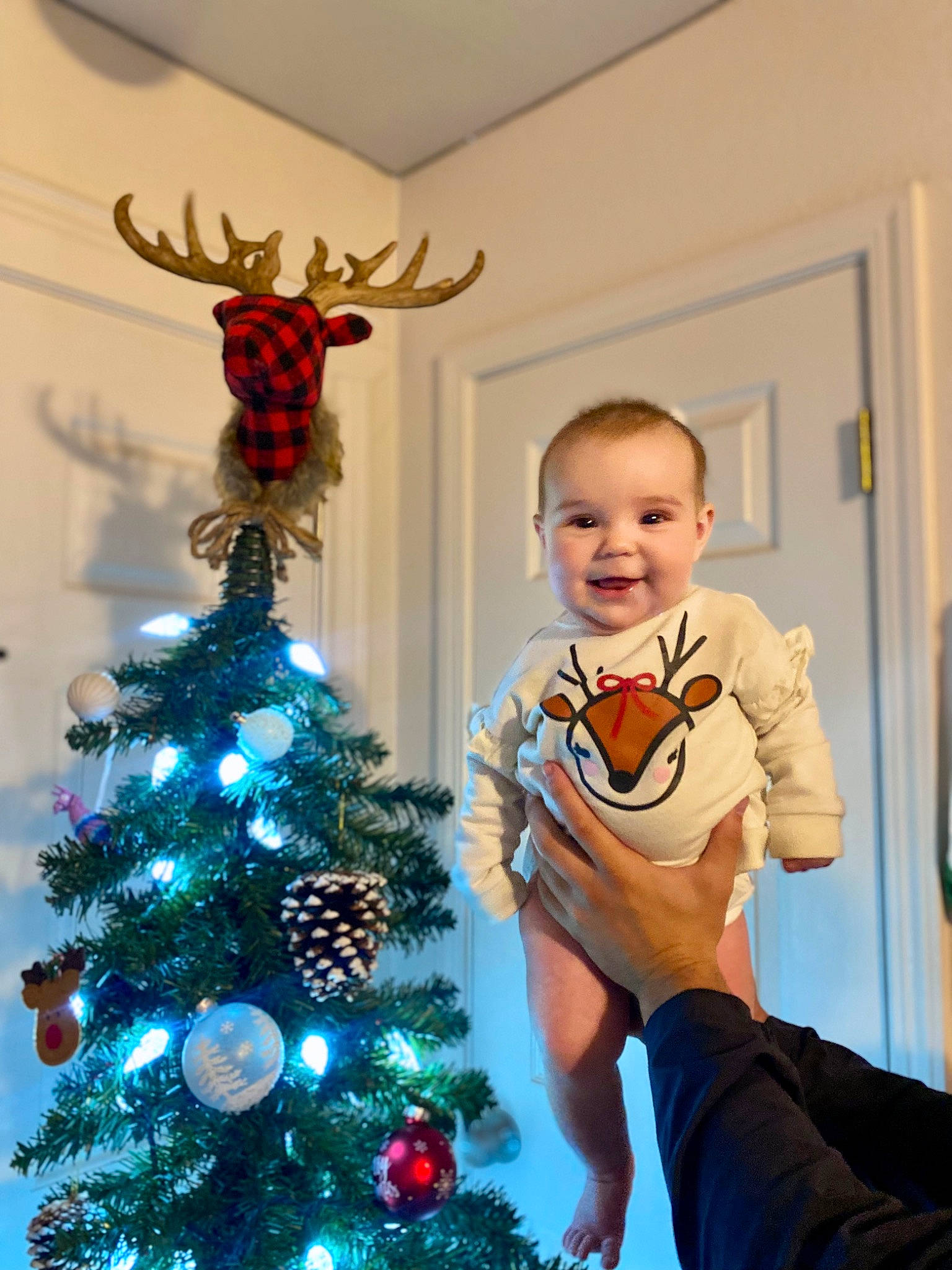 Kennedy joined the competition — help win amazing prizes! christmas, christmas_decoration, christmas_eve, christmas_ornament, christmas_tree, electric_blue, event, evergreen, happy, holiday, holiday_ornament, joy, ornament, person, red, smile, snapshot, standing, t_shirt, toddler