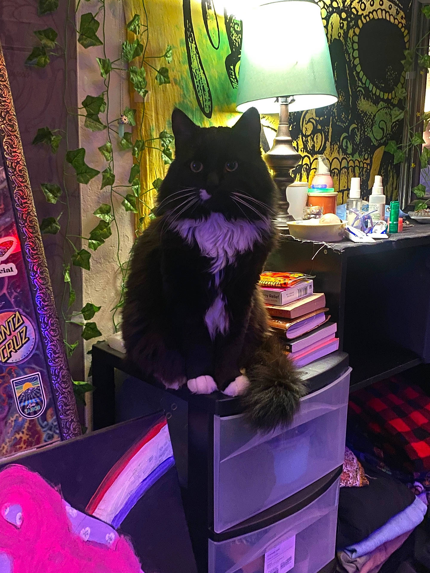 Oliver