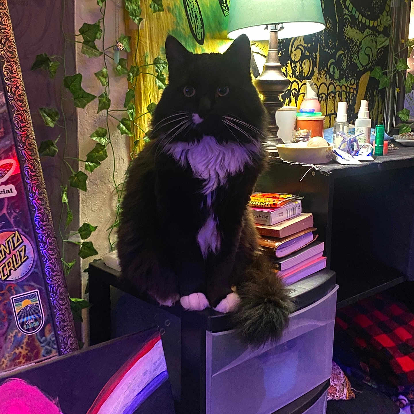 Oliver