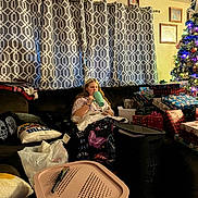 Gracie joined the competition — help win amazing prizes! person, couch, blanket, pillow, curtain, window, present, gift, christmas_tree, tree, lights, living_room, floor, mug, plastic_bag, laundry_basket, home_decor, framed_photos, holiday, relaxing