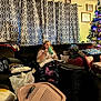 person, couch, blanket, pillow, curtain, window, present, gift, christmas_tree, tree, lights, living_room, floor, mug, plastic_bag, laundry_basket, home_decor, framed_photos, holiday, relaxing