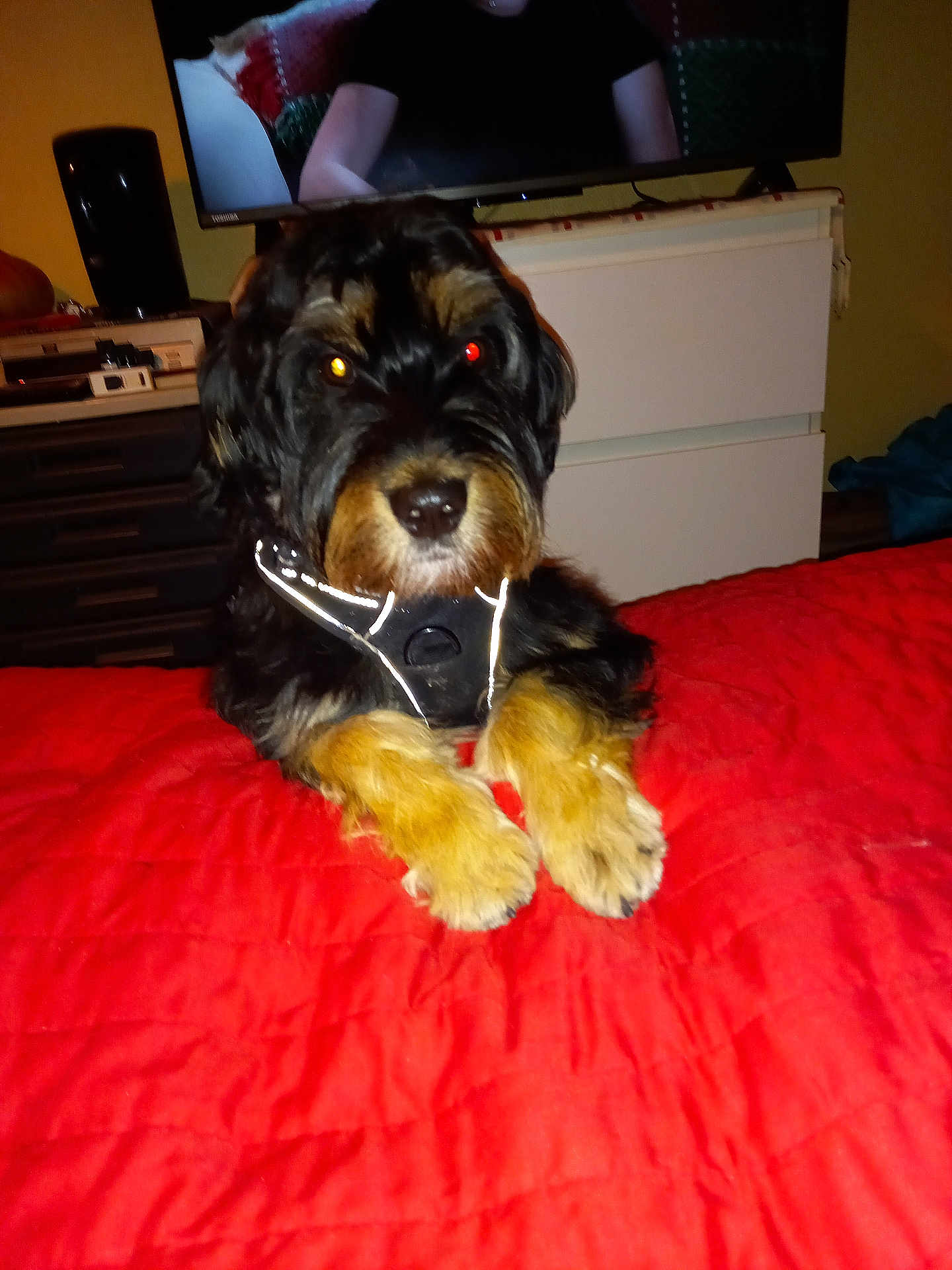 Max