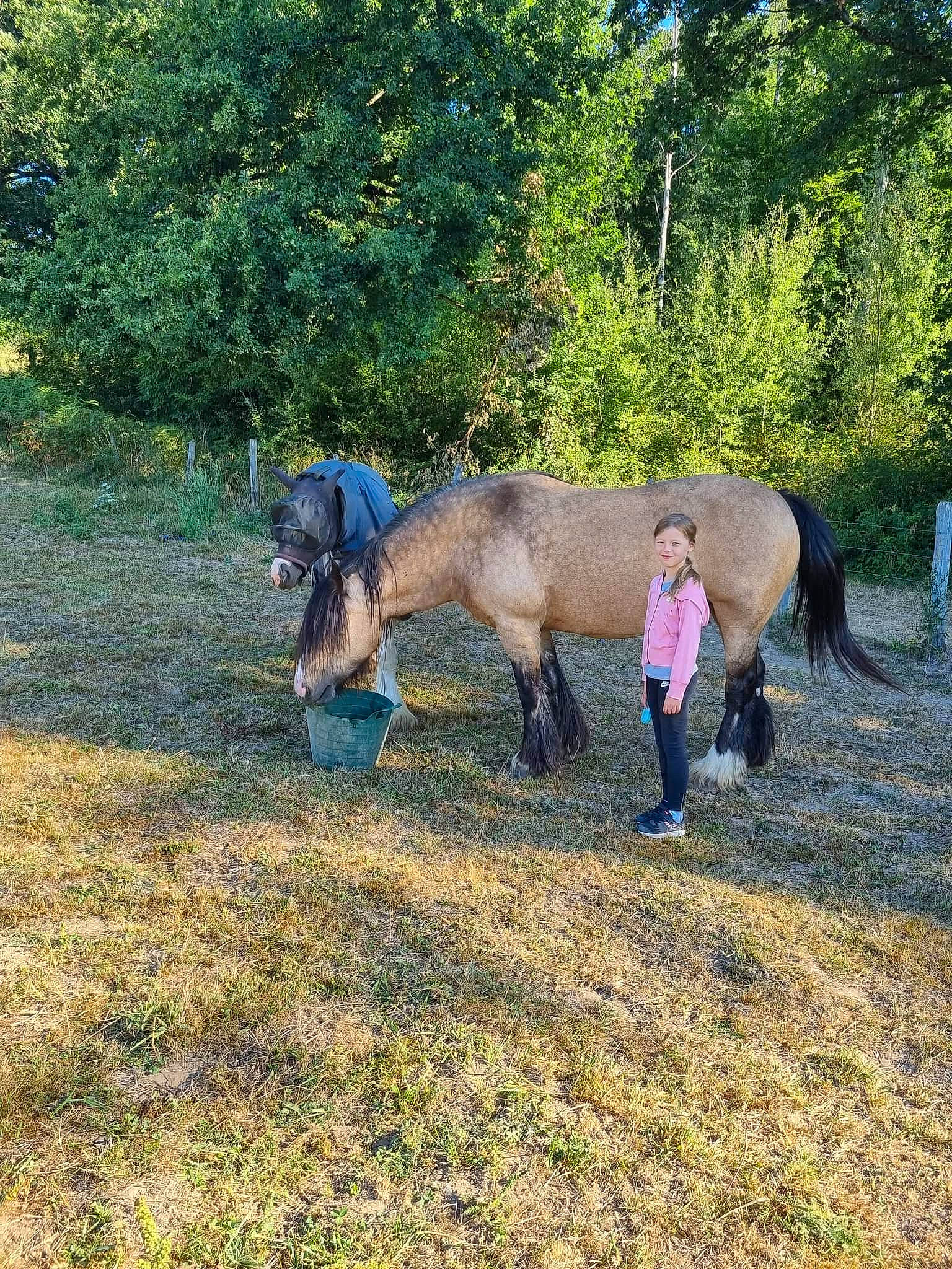 Cléa a rejoint le concours — aidez-le/la à gagner de superbes lots ! bovine, bridle, electric_blue, grass, grassland, grazing, horse, joy, landscape, livestock, mane, mare, pack_animal, pasture, person, plant, ranch, sporting_group, stallion, terrestrial_animal