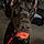 Niklaus