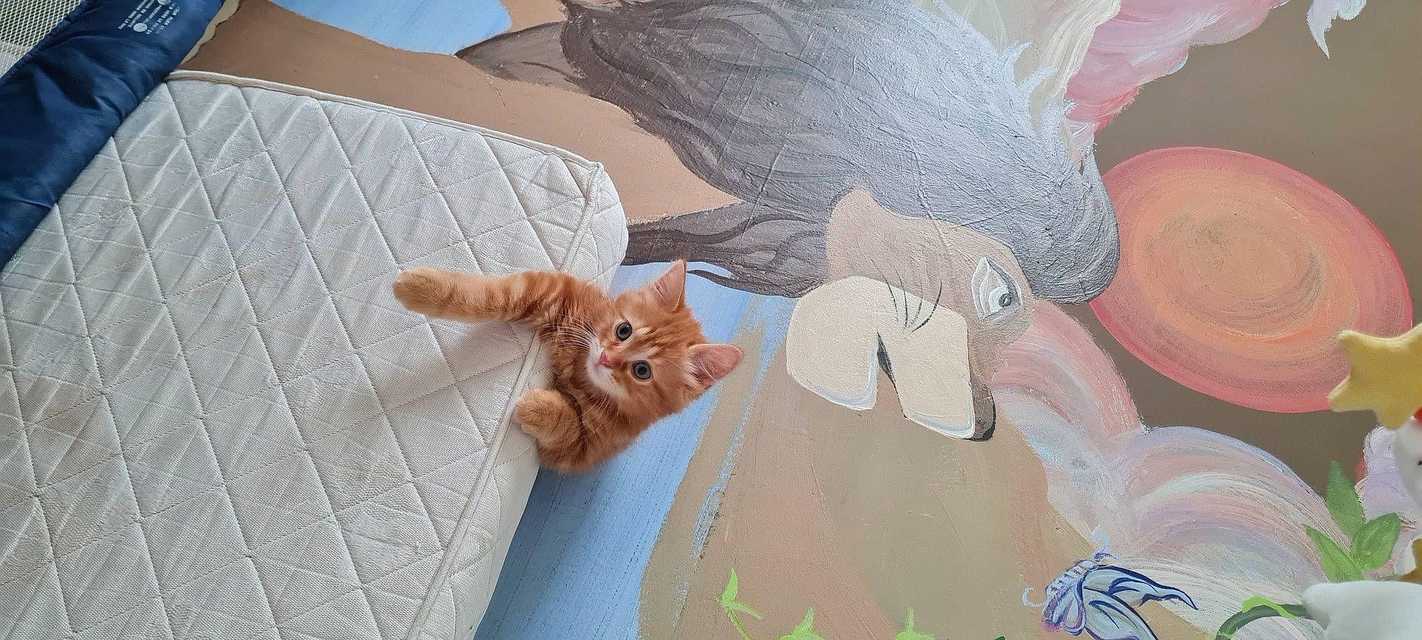 Simba a rejoint le concours — aidez-le/la à gagner de superbes lots ! art, carnivore, cat, fawn, felidae, finger, gesture, human_leg, linens, mammal, organism, painting, pattern, plant, small_to_medium_sized_cats, stuffed_toy, tail, textile, whiskers, wood