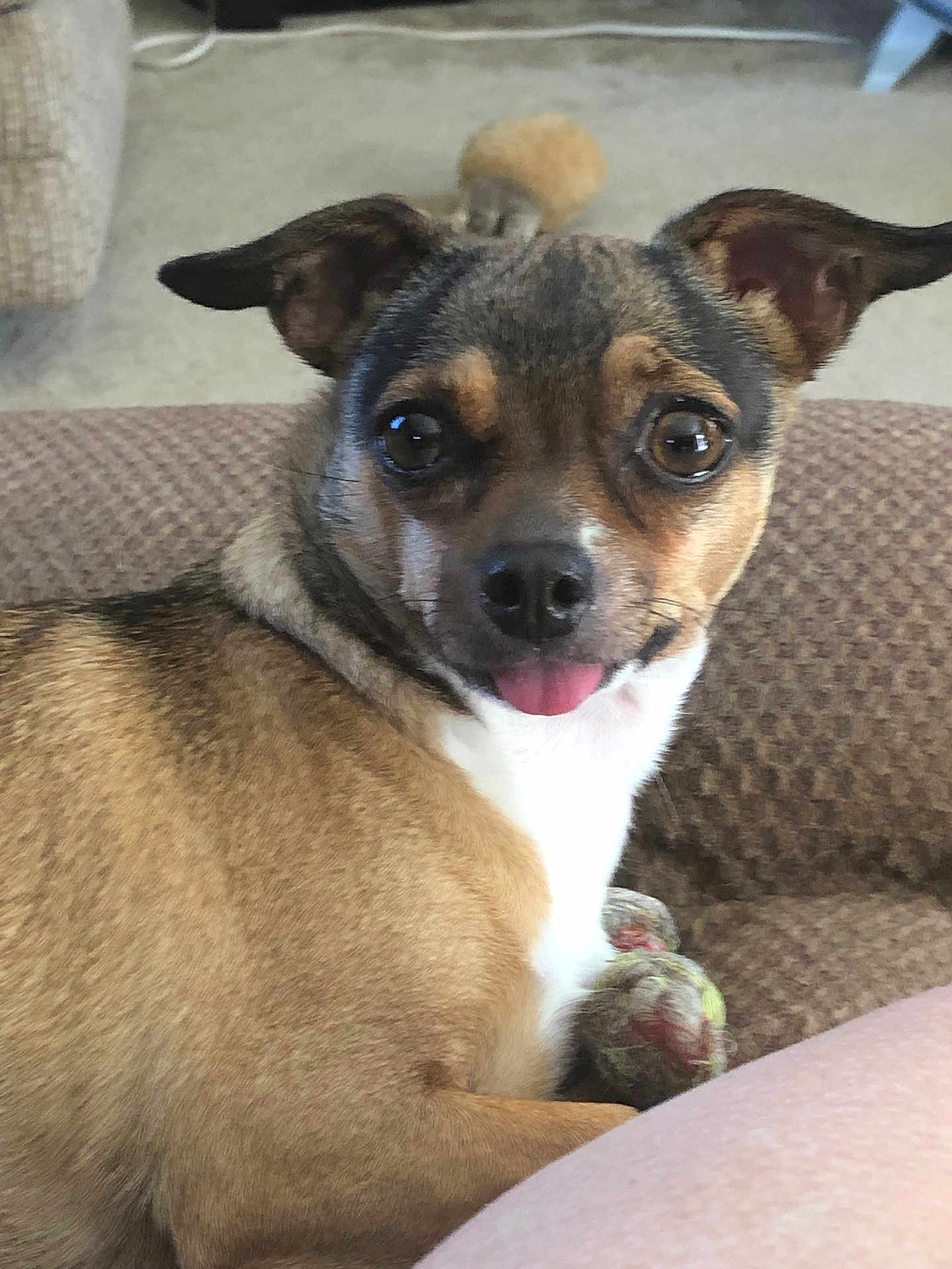 Nala