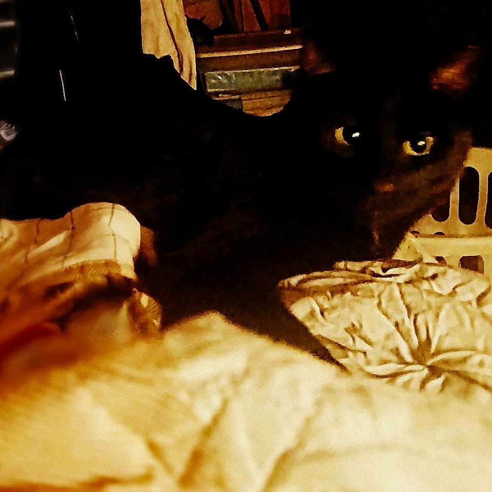 Binx