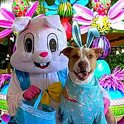 Lana is registered to the contest to win money with this photo: dog, costume, easter_bunny, easter_eggs, basket, flower, outdoor, celebration, holiday, spring, festive, colorful, smiling, pet, animal, person_in_costume, greenery, decorations, playful, happy