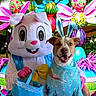 dog, costume, easter_bunny, easter_eggs, basket, flower, outdoor, celebration, holiday, spring, festive, colorful, smiling, pet, animal, person_in_costume, greenery, decorations, playful, happy