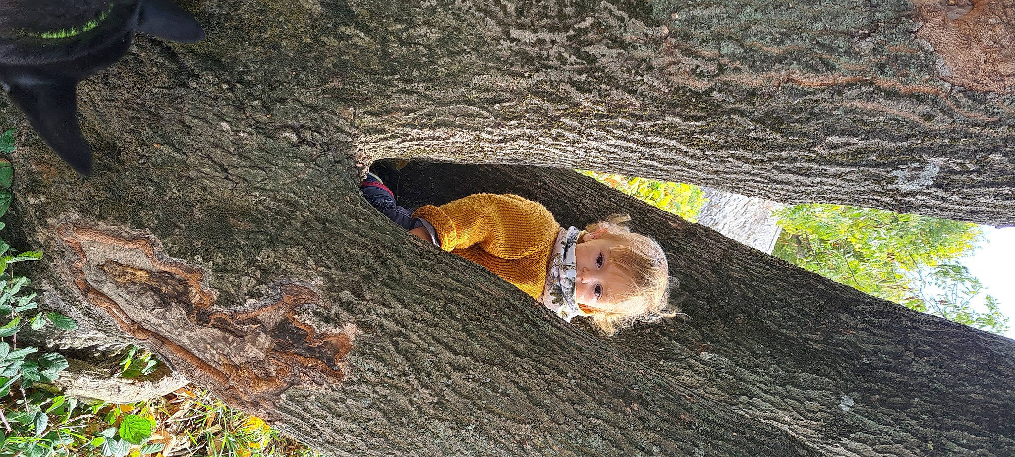 Fabio participe au concours pour gagner de l'argent avec cette photo : adventure, formation, geology, people_in_nature, person