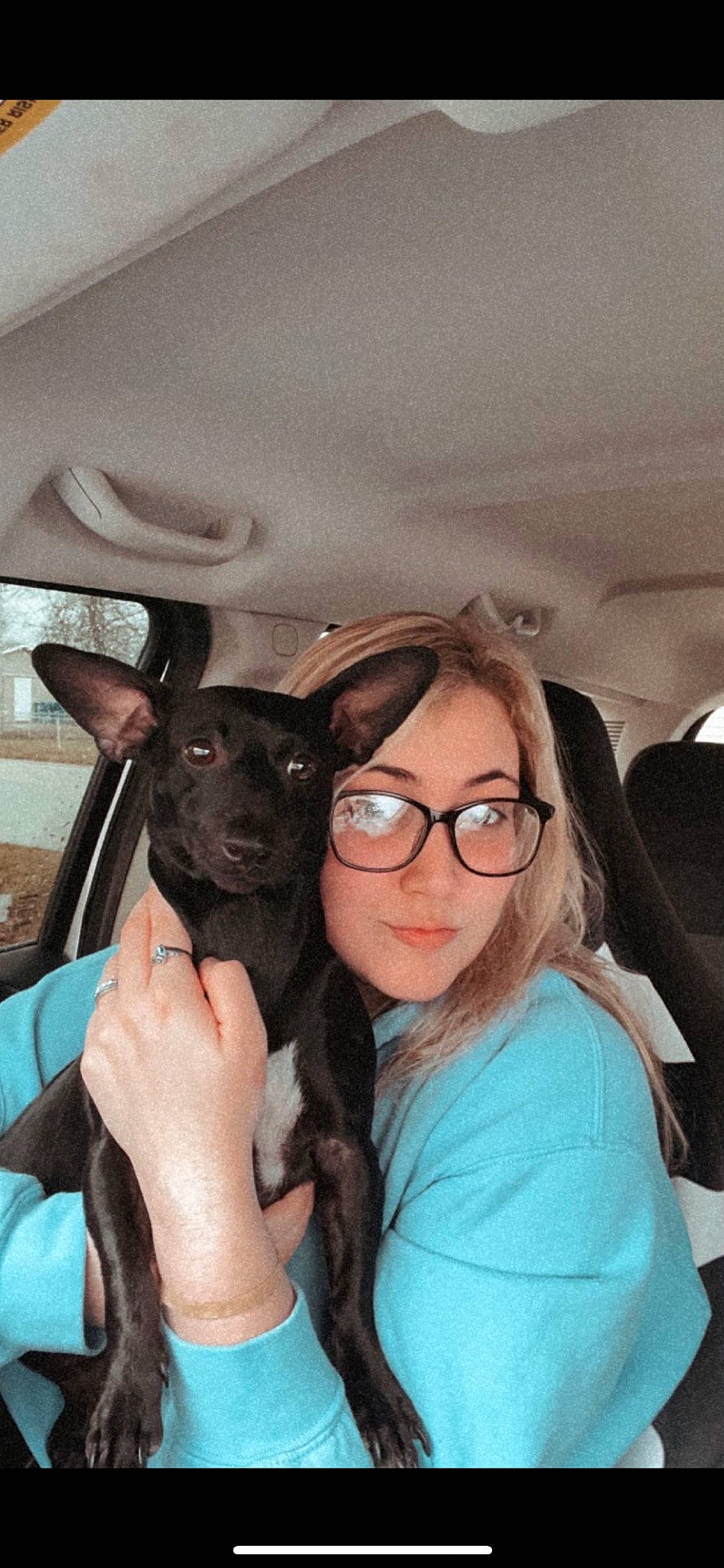 Minnie is registered to the contest to win money with this photo: black_hair, canidae, carnivore, comfort, companion_dog, cool, dog, dog_breed, ear, eyewear, fawn, fur, gesture, happy, skin, smile, snout, sporting_group, toy_dog, whiskers