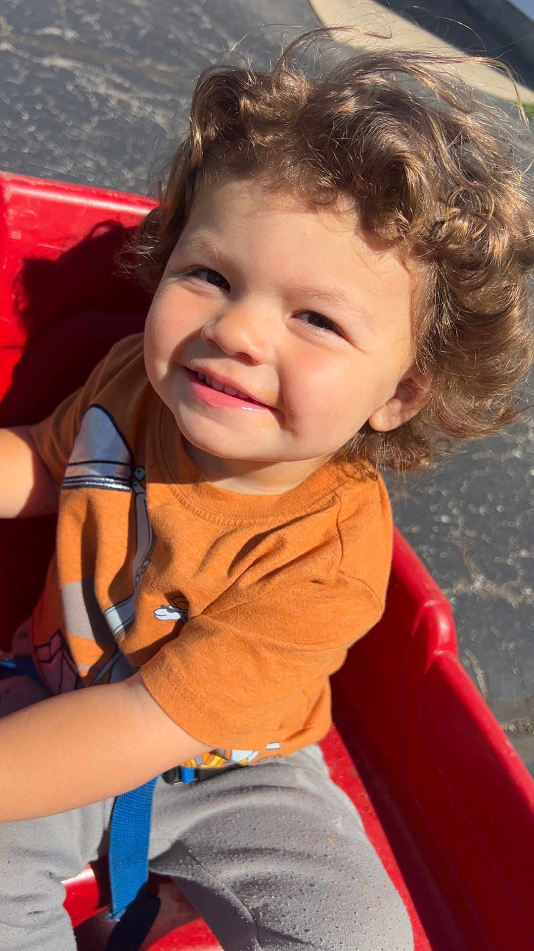 Brantley is registered to the contest to win money with this photo: child, toddler, curly_hair, smile, orange_tshirt, grey_pants, red_wagon, outdoor, sunlight, happy, play, daylight, seatbelt, casual_clothing, cute, person, fun, park, young_child, playtime