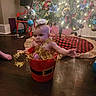 Nova joined the competition — help win amazing prizes! baby, child, christmas_tree, holiday, tinsel, bucket, red_bucket, indoor, floor, decorations, ornaments, lights, festive, christmas, cute, person, holiday_decor, celebration, infant, home