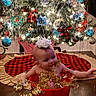 Nova joined the competition — help win amazing prizes! baby, christmas_tree, ornaments, tinsel, red_bucket, holiday_decor, festive, white_bow, floor, tree_skirt, lights, indoor, smiling, decorations, child, holiday, seasonal, cute, sitting, celebration