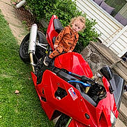 Legend joined the competition — help win amazing prizes! child, toddler, motorcycle, red_motorcycle, grass, lawn, house, porch, cushions, greenery, outdoor, sidewalk, curly_hair, orange_clothing, pumpkin_pattern, person, vehicle, toy, daytime, casual
