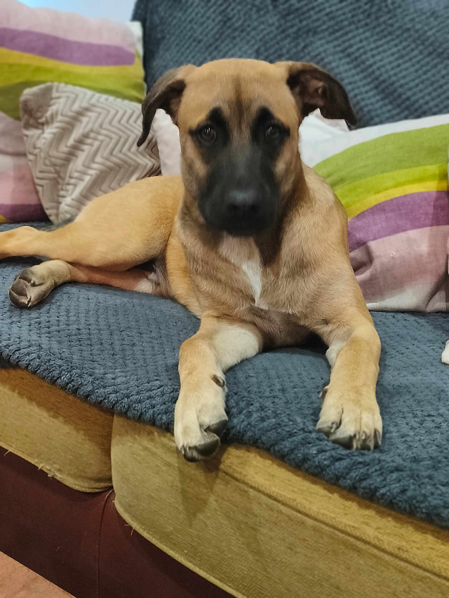 Aiko