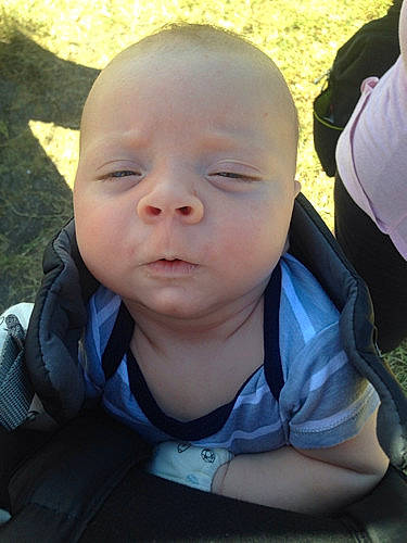 Arin is registered to the contest to win money with this photo: child, emotion, eye, face, facial_expression, head, human_positions, infant, male, nose, organ, people, person, portrait, skin, smile, toddler