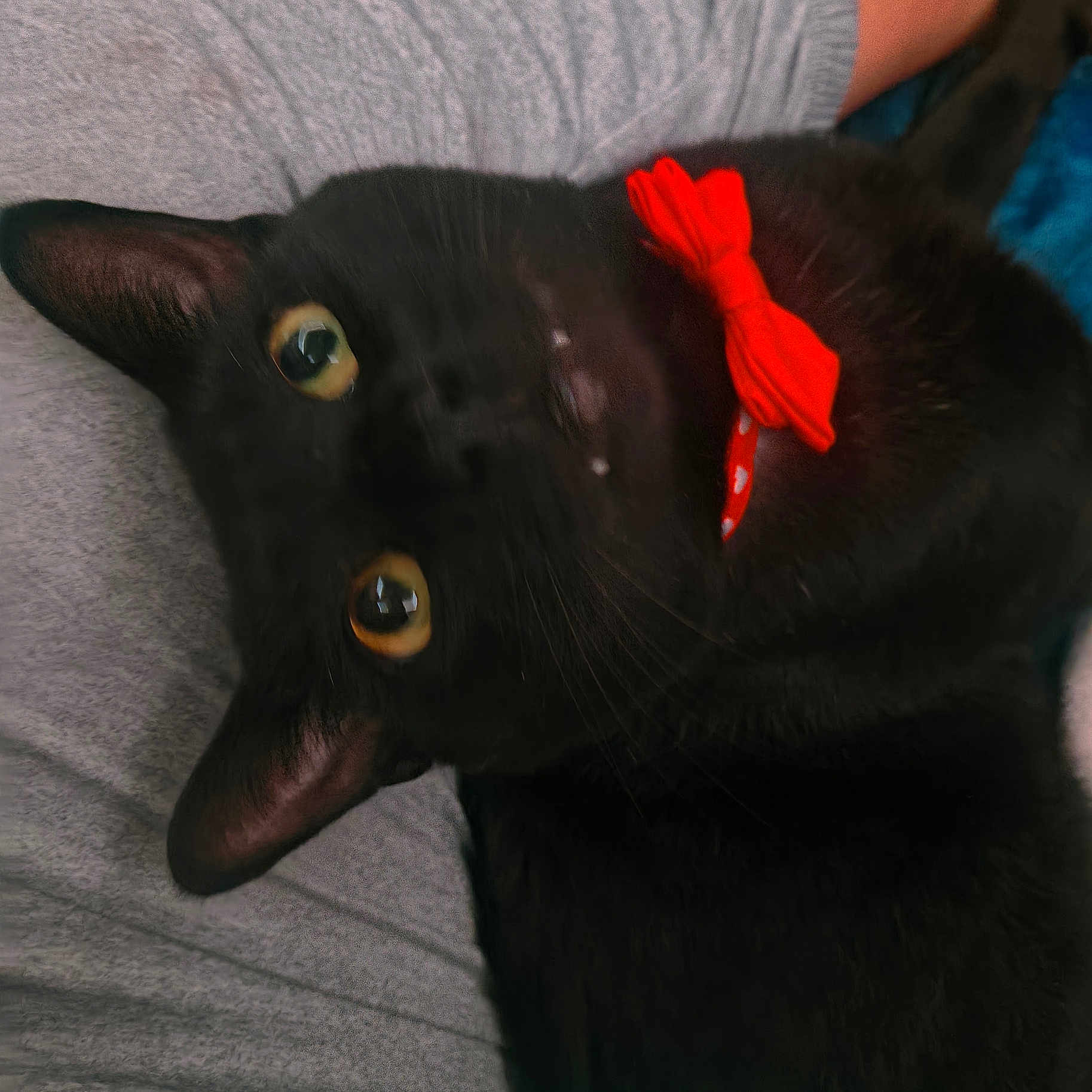 Jiji