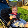 baby, stroller, child, outdoor, sunlight, grass, fence, sidewalk, car, tree, residential, red_clothing, blue_stroller, happy, person, infant, seatbelt, playful, summer, portrait