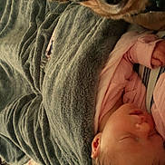 Josephine joined the competition — help win amazing prizes! baby, sleeping, dog, blanket, bed, cozy, pet, companion, indoor, cute, fur, face, resting, soft, comfort, animal, child, toddler, portrait, snuggle