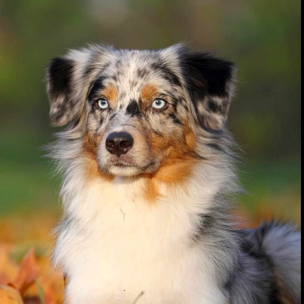 Lena