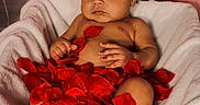 D'Markus is registered to the contest to win money with this photo: baby, infant, rose_petals, blanket, balloons, pink, red, soft_texture, lying_down, skin, face, expression, decor, celebration, indoors, cute, child, toddler, portrait, resting