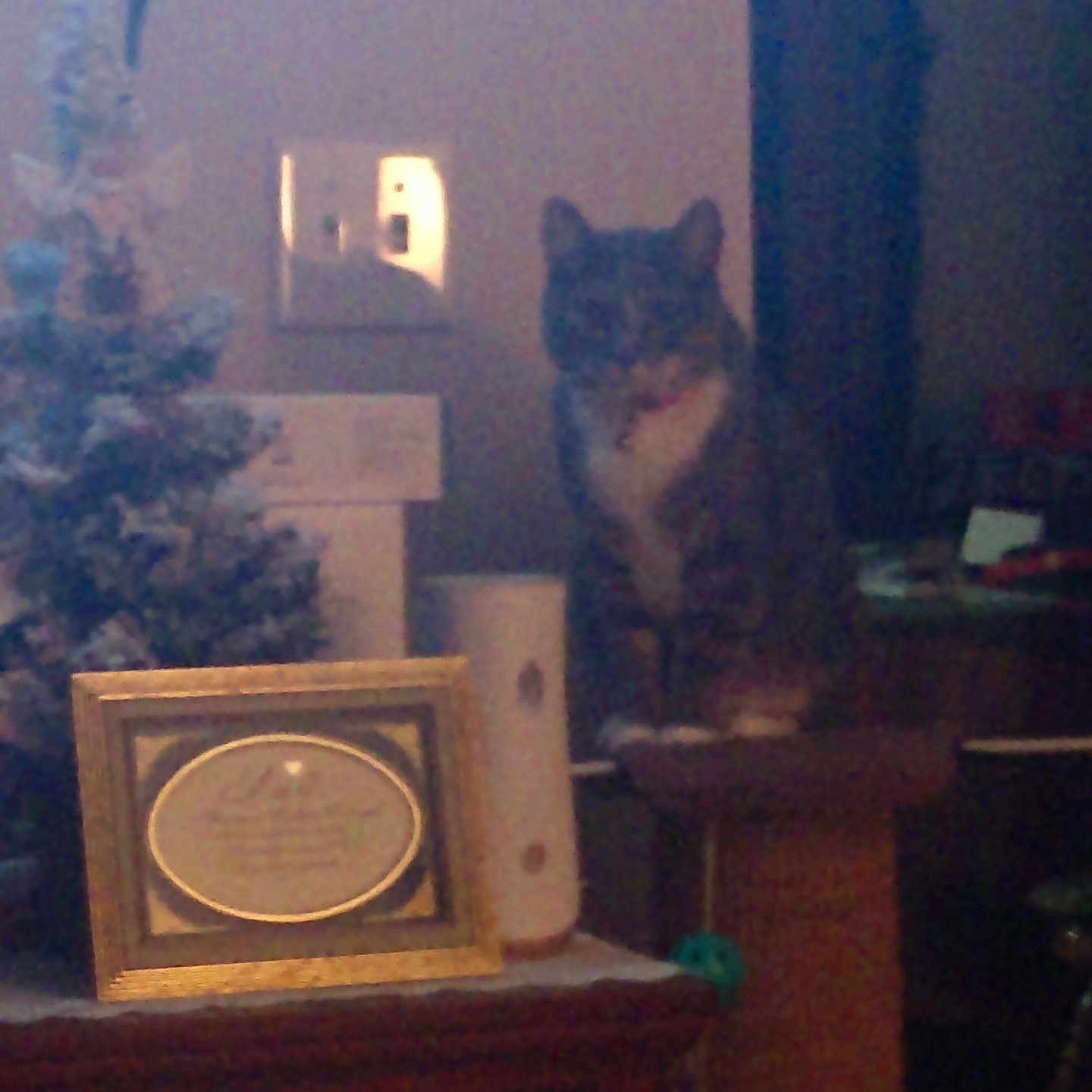 Mittens