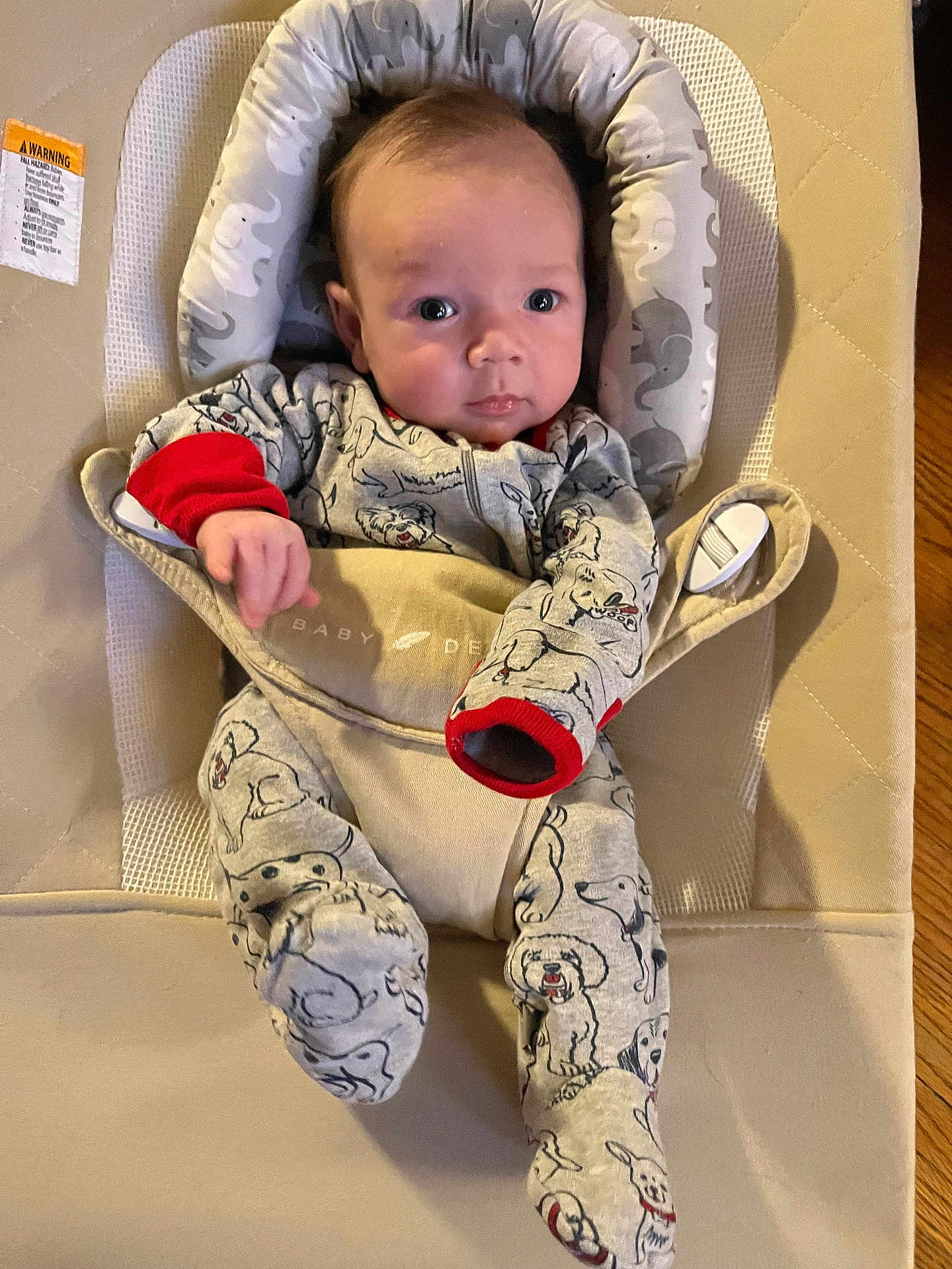 Roman is registered to the contest to win money with this photo: baby, infant, baby_seat, onesie, dog_pattern, clothing, face, head, eyes, hands, cushion, fabric, indoor, portrait, child, cute, soft_lighting, expression, person, comfort