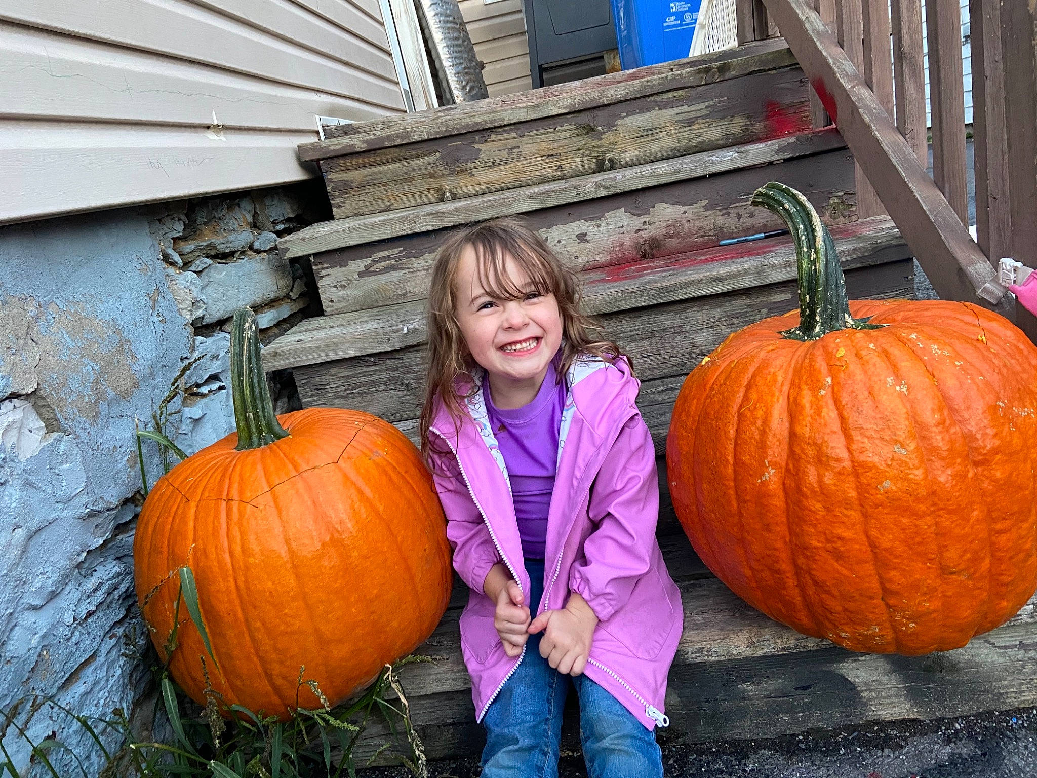 Emylee joined the competition — help win amazing prizes! _and_melon_family, _gourd, autumn, calabaza, child, cucumber, cucurbita, food, fruit, gourd, joy, local_food, orange, person, plant, produce, pumpkin, smile, squash, toddler