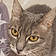 Moustache