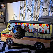 Mimi a rejoint le concours — aidez-le/la à gagner de superbes lots ! cat, tabby_cat, cardboard_toy, food_truck, indoor, curious, pet, playful, cartoon, window, patterned_curtains, rug, black_and_white_rug, decor, furniture, cozy, animal, cute, toy, home