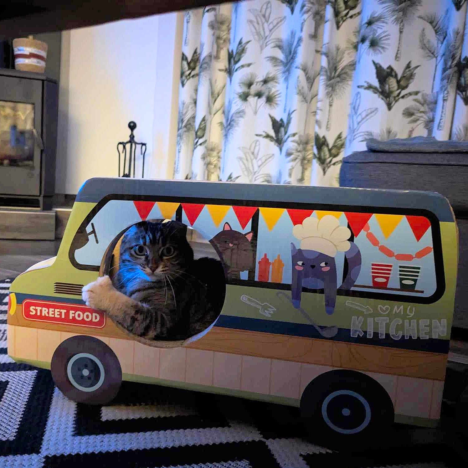 Mimi a rejoint le concours — aidez-le/la à gagner de superbes lots ! animal, black_and_white_rug, cardboard_toy, cartoon, cat, cozy, curious, cute, decor, food_truck, furniture, home, indoor, patterned_curtains, pet, playful, rug, tabby_cat, toy, window