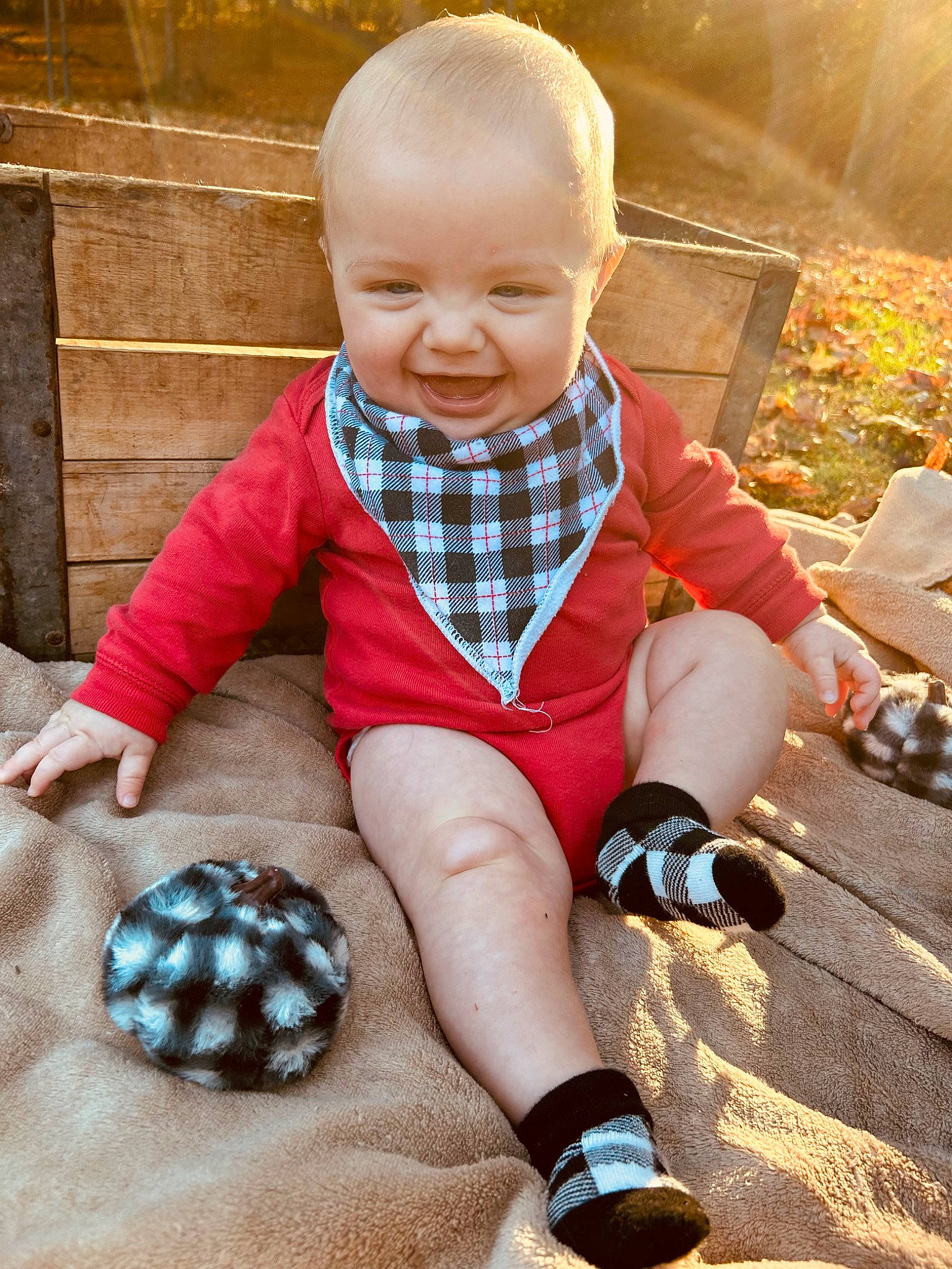 Gage is registered to the contest to win money with this photo: baby, baby_toddler_clothing, ball, child, electric_blue, face, flooring, grass, happy, human_leg, joy, pattern, people_in_nature, person, plaid, plant, sitting, sleeve, smile, t_shirt