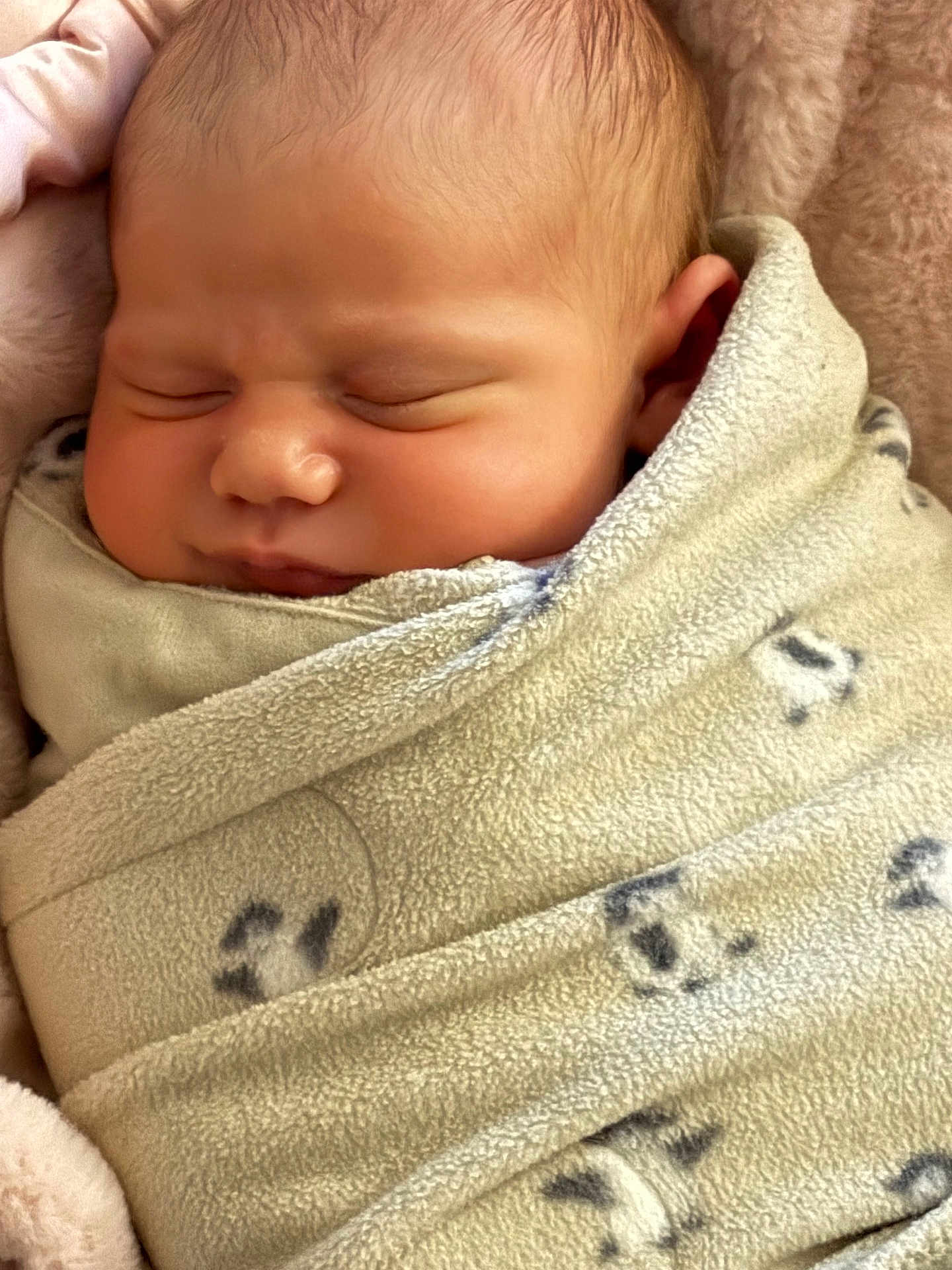 Avalon joined the competition — help win amazing prizes! baby, newborn, infant, swaddle, blanket, sleeping, closed_eyes, face, cheek, ear, nose, soft_texture, cozy, peaceful, portrait, closeup, nursery_bedding, fleece, wrapped, rest