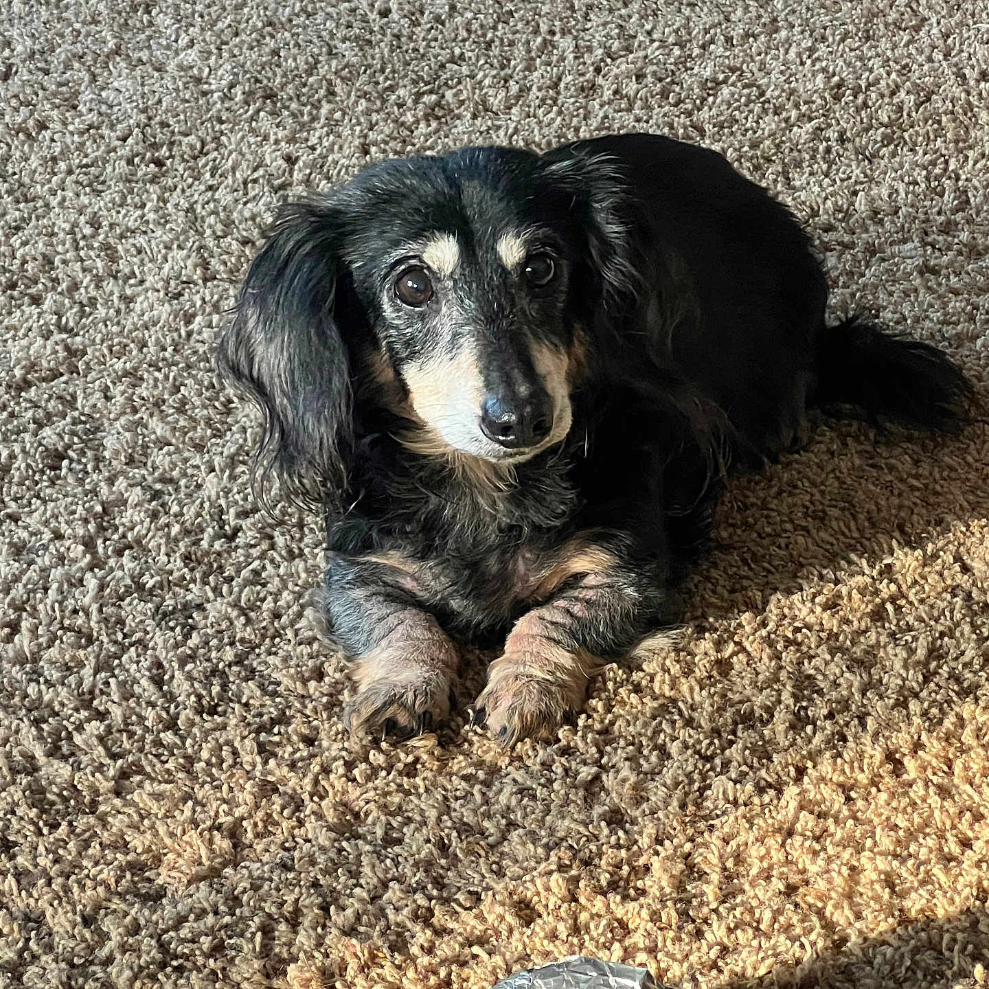 Susie Q