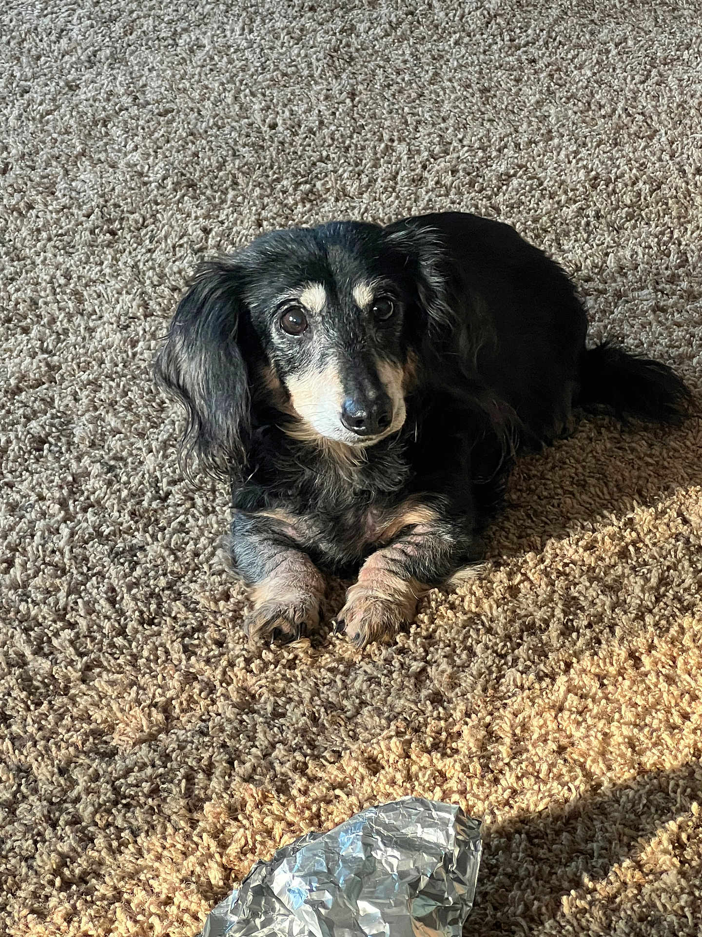 Susie Q